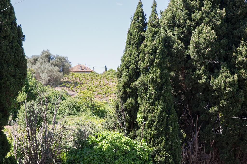 Residence La Source Τουλόν Εξωτερικό φωτογραφία